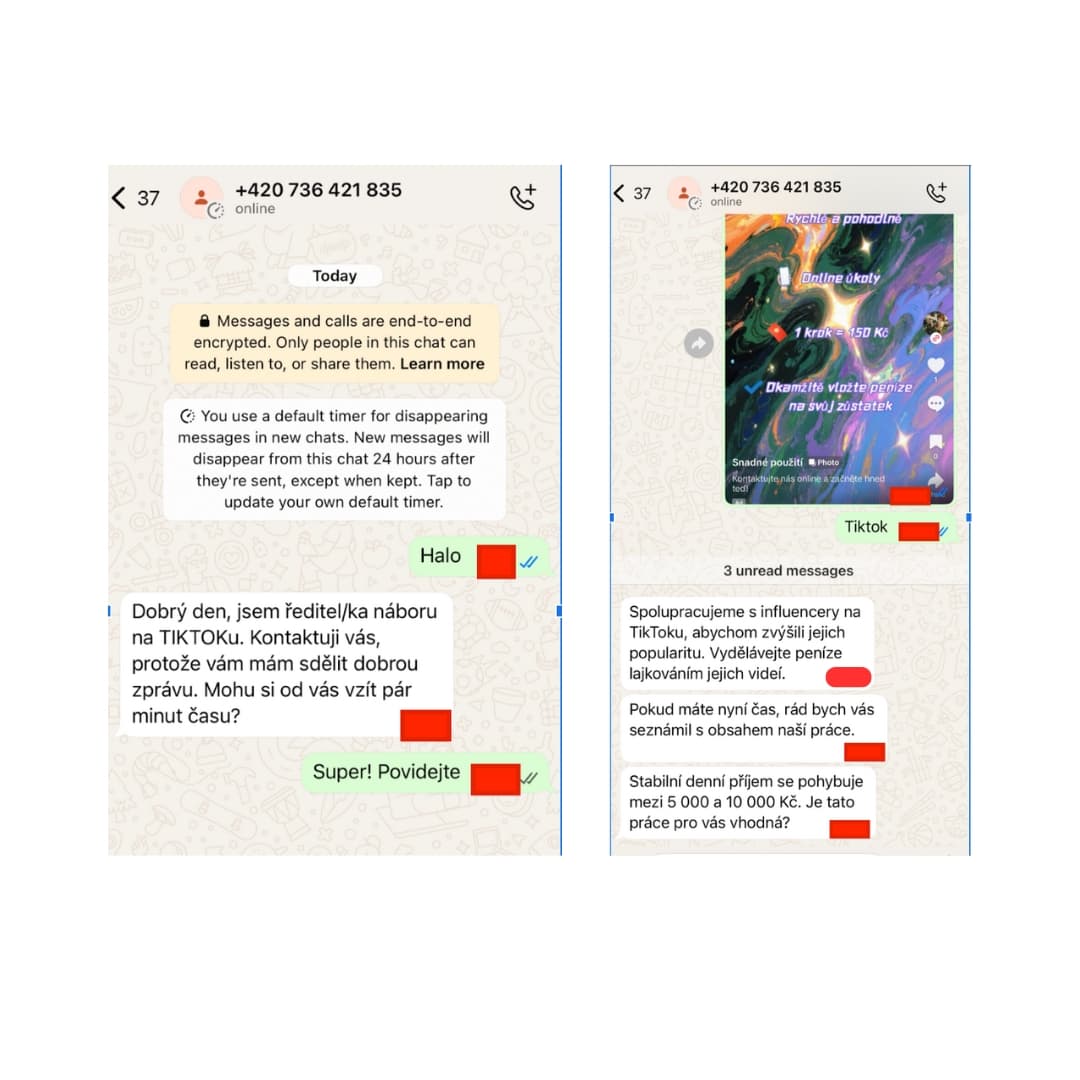 Whatsapová konverzace se zájemcem. Operátor nabízí snadný přivýdělek skrze lajkování videí influencerů.
